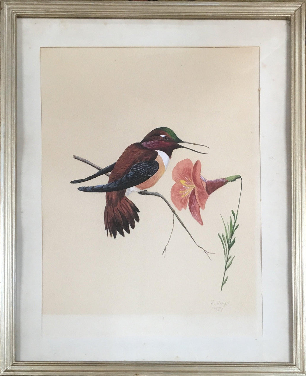 Hummingbird with Flower Watercolor | R. Vogel,{{product.type}}