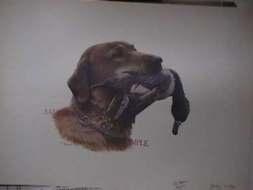 Hunting Dog with Duck (Sample) Poster | Gordon Brusstar,{{product.type}}