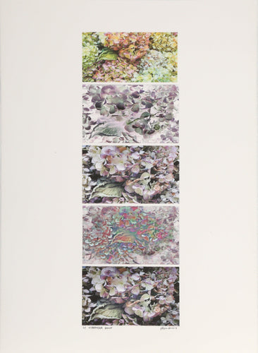 Hydrangea Group Digital | Michael Knigin,{{product.type}}