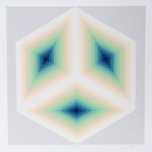 Imaginary Triangle Screenprint | Jurgen Peters,{{product.type}}