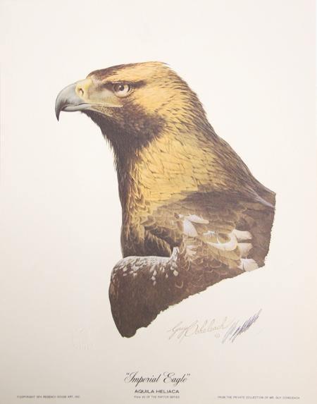 Imperial Eagle Lithograph | Guy Coheleach,{{product.type}}