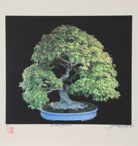 Imperial Series I Color | Jonathan Singer,{{product.type}}