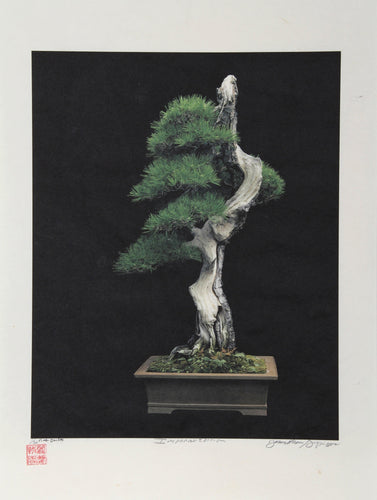 Imperial Series II Color | Jonathan Singer,{{product.type}}