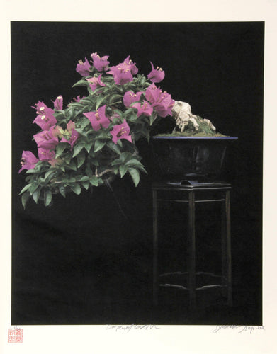 Imperial Series III Color | Jonathan Singer,{{product.type}}