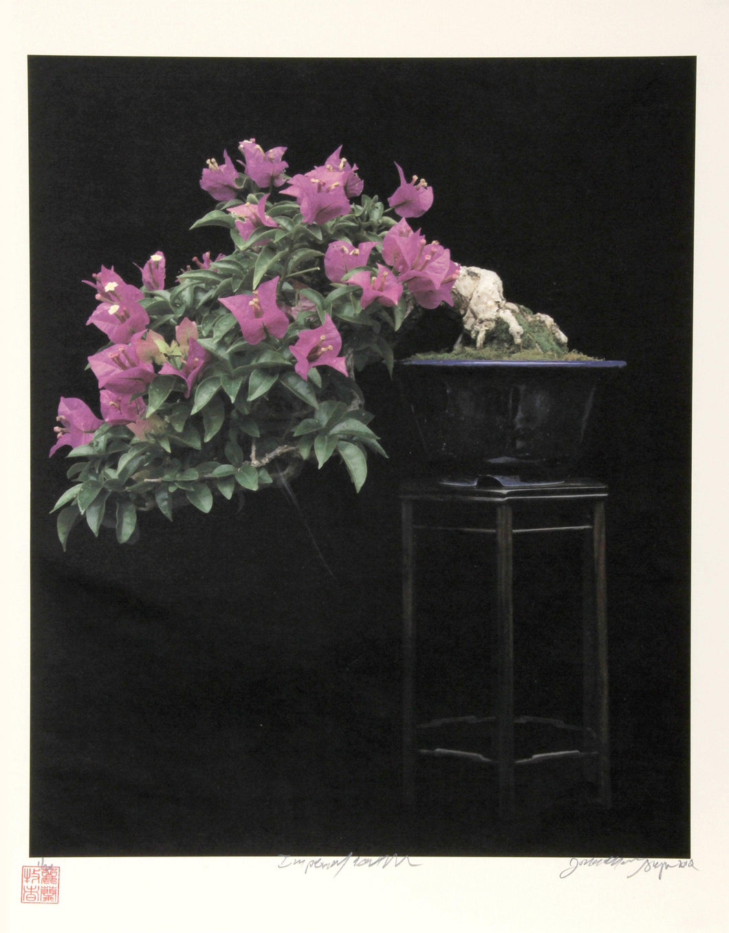 Imperial Series III Color | Jonathan Singer,{{product.type}}