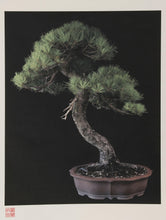 Imperial Series IV Color | Jonathan Singer,{{product.type}}