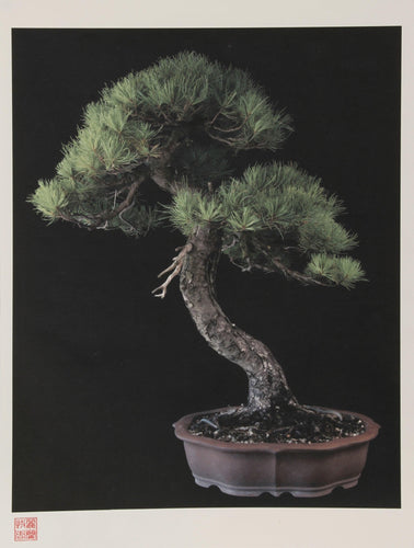 Imperial Series IV Color | Jonathan Singer,{{product.type}}