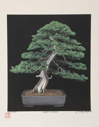 Imperial Series IX Color | Jonathan Singer,{{product.type}}