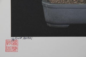 Imperial Series IX Color | Jonathan Singer,{{product.type}}
