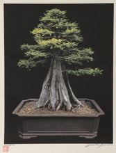 Imperial Series V Color | Jonathan Singer,{{product.type}}