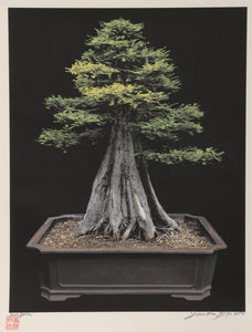 Imperial Series V Color | Jonathan Singer,{{product.type}}