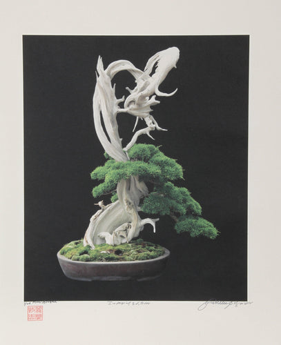 Imperial Series VI Color | Jonathan Singer,{{product.type}}