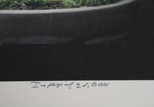 Imperial Series VI Color | Jonathan Singer,{{product.type}}