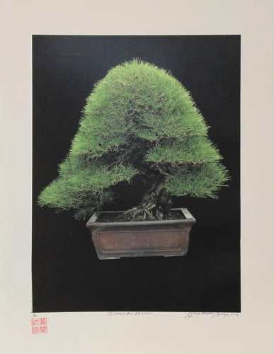 Imperial Series VII Color | Jonathan Singer,{{product.type}}