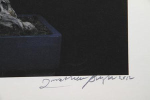 Imperial Series VIII Color | Jonathan Singer,{{product.type}}