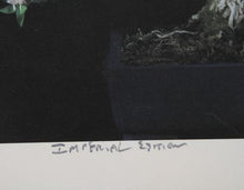 Imperial Series VIII Color | Jonathan Singer,{{product.type}}