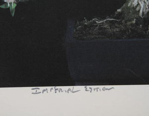 Imperial Series VIII Color | Jonathan Singer,{{product.type}}