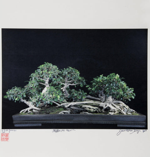 Imperial Series X Color | Jonathan Singer,{{product.type}}