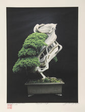 Imperial Series XII Color | Jonathan Singer,{{product.type}}