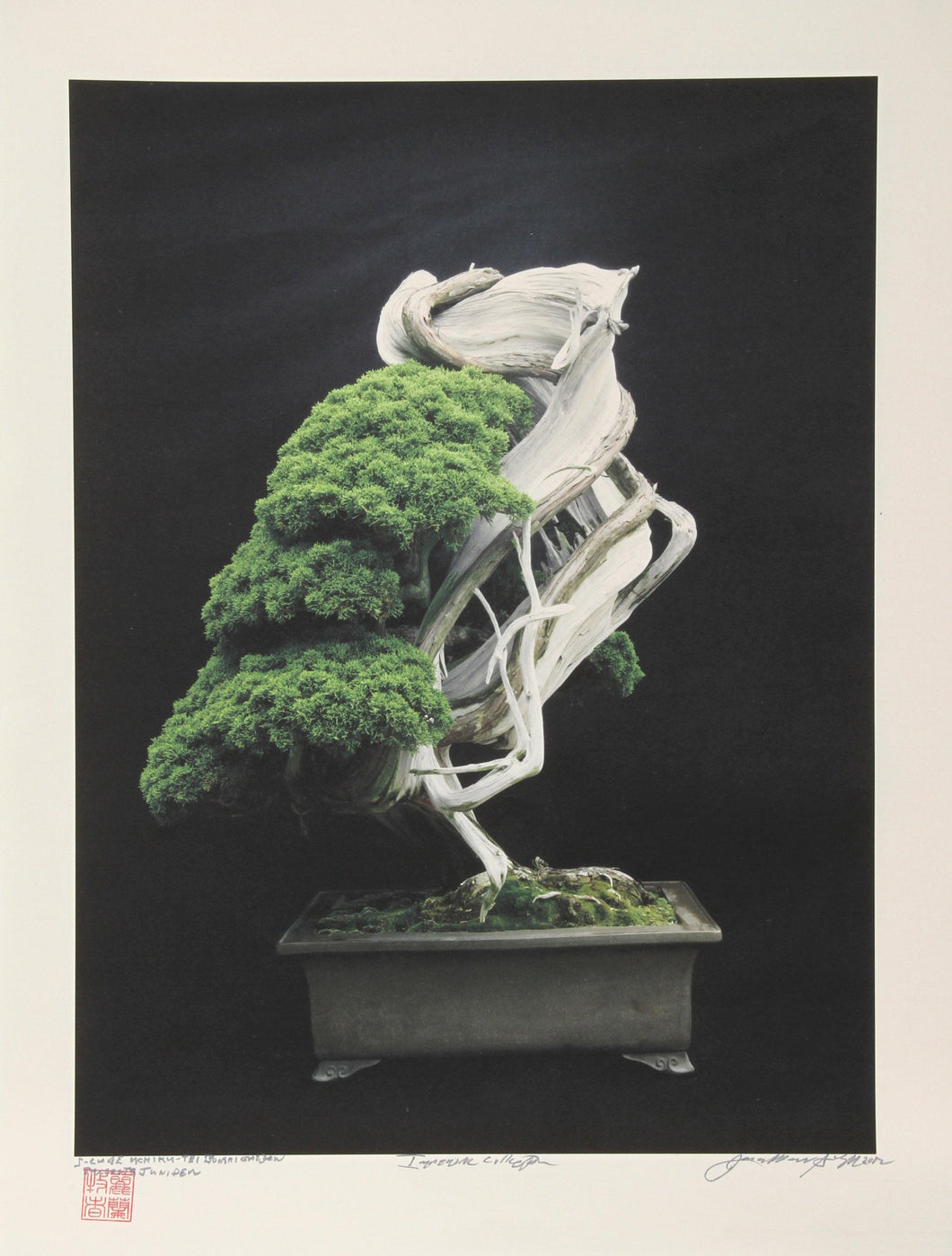 Imperial Series XII Color | Jonathan Singer,{{product.type}}