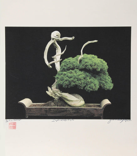 Imperial Series XIII Color | Jonathan Singer,{{product.type}}