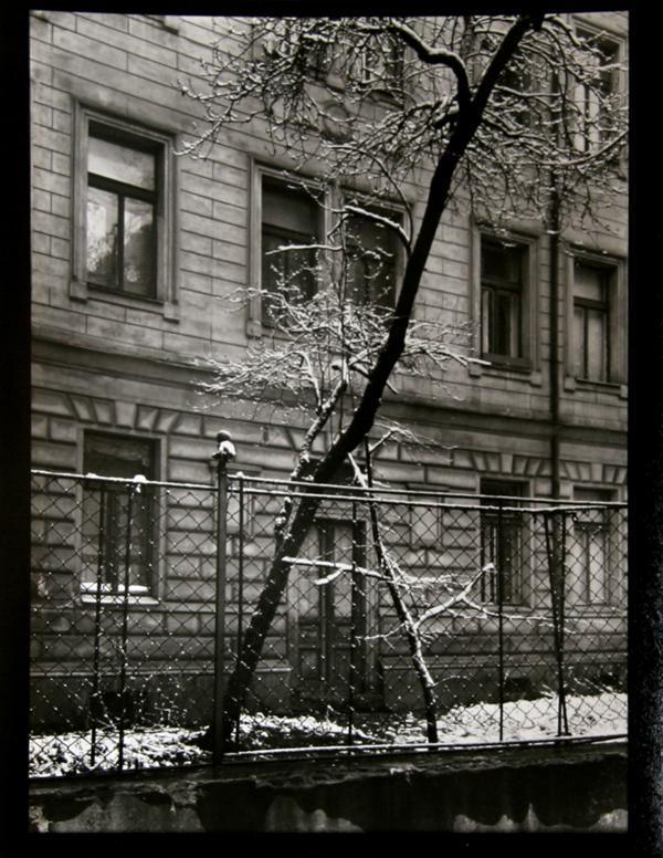 In Our Yard Black and White | Josef Sudek,{{product.type}}