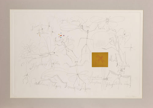 Insects 2 Etching | Claus Hoie,{{product.type}}