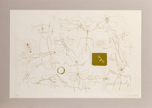 Insects Etching | Claus Hoie,{{product.type}}