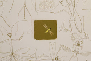 Insects Etching | Claus Hoie,{{product.type}}