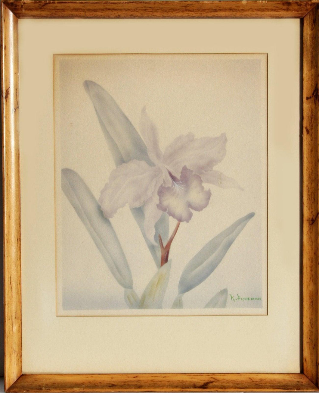 Iris Watercolor | Tip Freeman,{{product.type}}