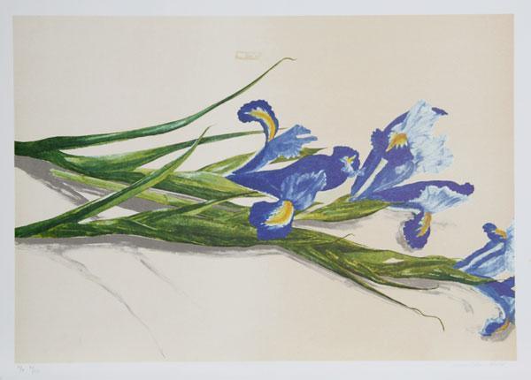 Irises Lithograph | Carol Ann Bolt,{{product.type}}