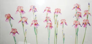 Irises Watercolor | Regan Malone,{{product.type}}