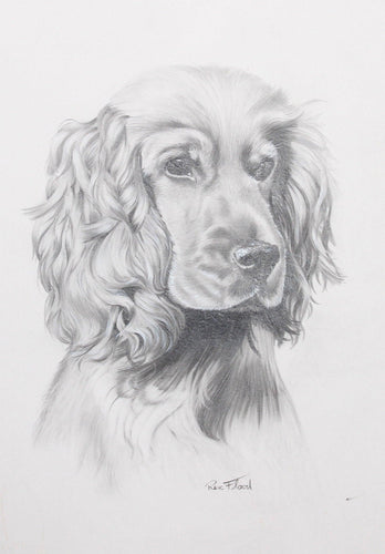 Irish Setter Pencil | Rex Flood,{{product.type}}