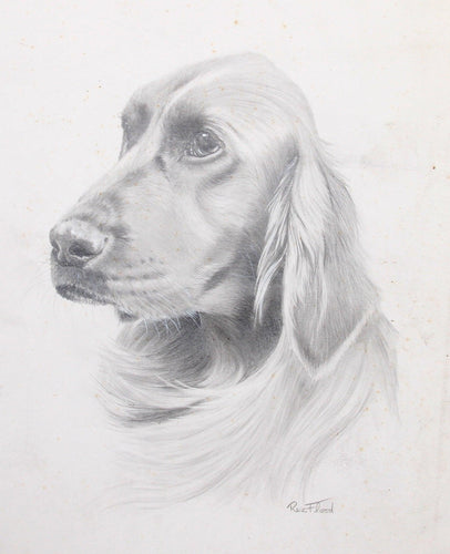 Irish Setter Pencil | Rex Flood,{{product.type}}