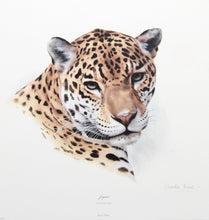 Jaguar Lithograph | Charles Fracé,{{product.type}}