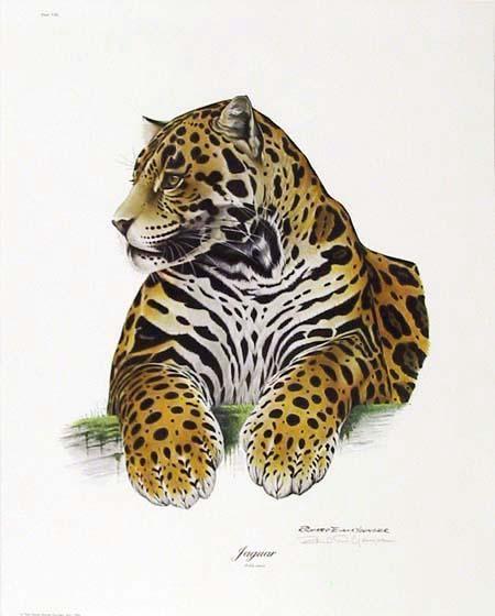 Jaguar Lithograph | Richard Evans Younger,{{product.type}}