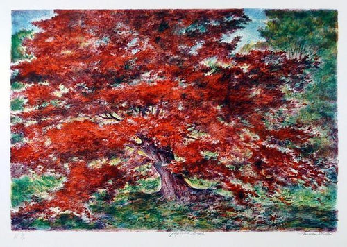 Japanese Maple Lithograph | Lumen Martin Winter,{{product.type}}