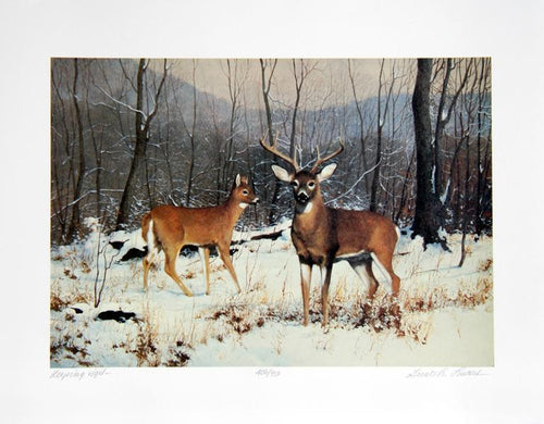 Keeping Vigil Lithograph | Gerald Lubeck,{{product.type}}