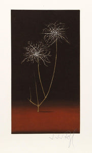 La Clematite Jaune from the Herbier Portfolio Etching | J.J.J. Rigal,{{product.type}}