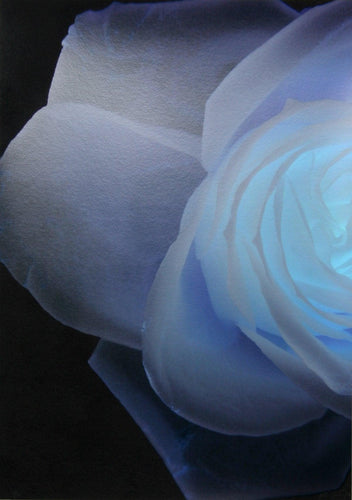 Lalique from the Bloom Portfolio Digital | Paul Solberg,{{product.type}}