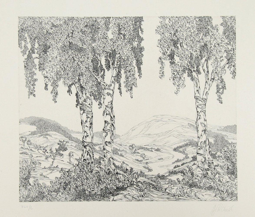 Landscape (2) Etching | Hans-Georg Rauch,{{product.type}}