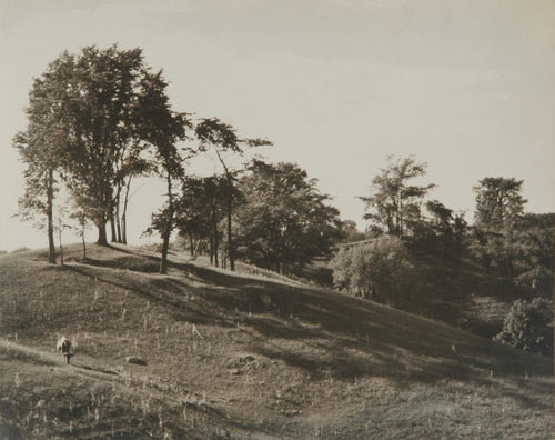 Landscape Black and White | Unknown Artist,{{product.type}}