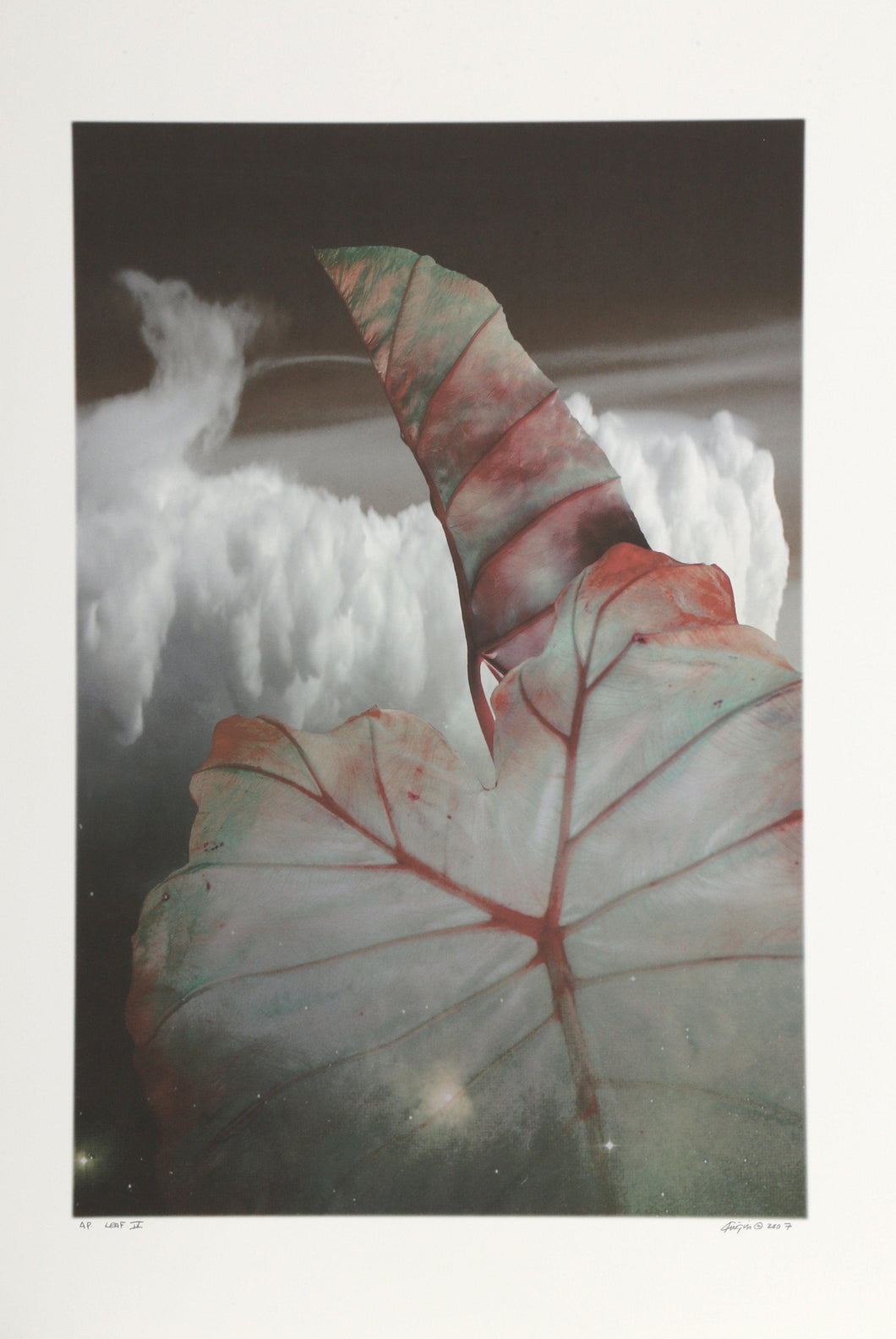 Leaf IV Digital | Michael Knigin,{{product.type}}