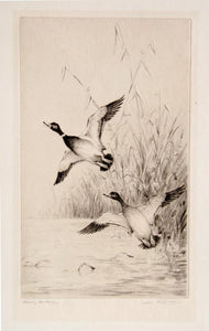Leaving the Reeds Etching | Henry Jackson Simpson,{{product.type}}