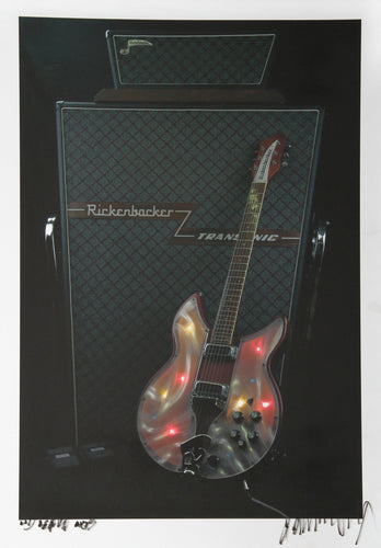 Led Zeppelin Light Show and Rickenbacker Amp Color | Jonathan Singer,{{product.type}}