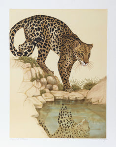 Leopard at Waterhole Lithograph | Caroline Schultz,{{product.type}}