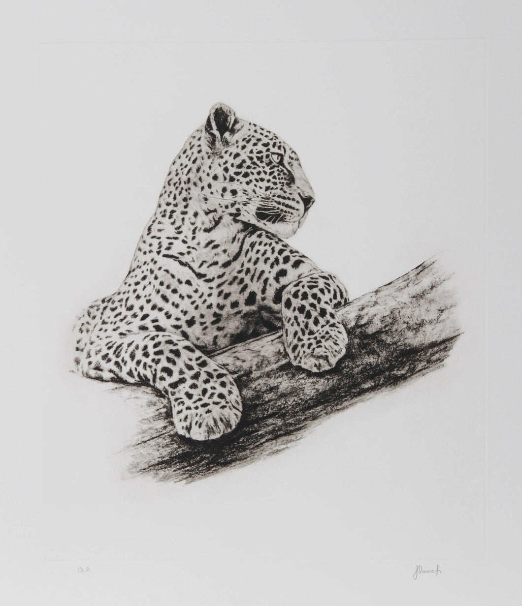 Leopard In A Tree Etching | Joseph Vance,{{product.type}}