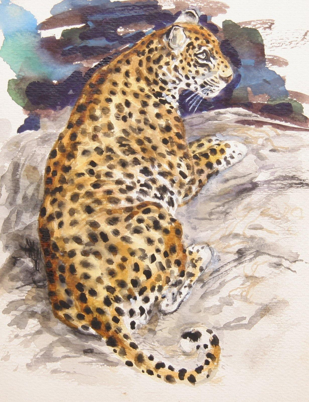 Leopard Watercolor | Marshall Goodman,{{product.type}}