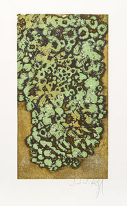 Les Lichens from the Herbier Portfolio Etching | J.J.J. Rigal,{{product.type}}