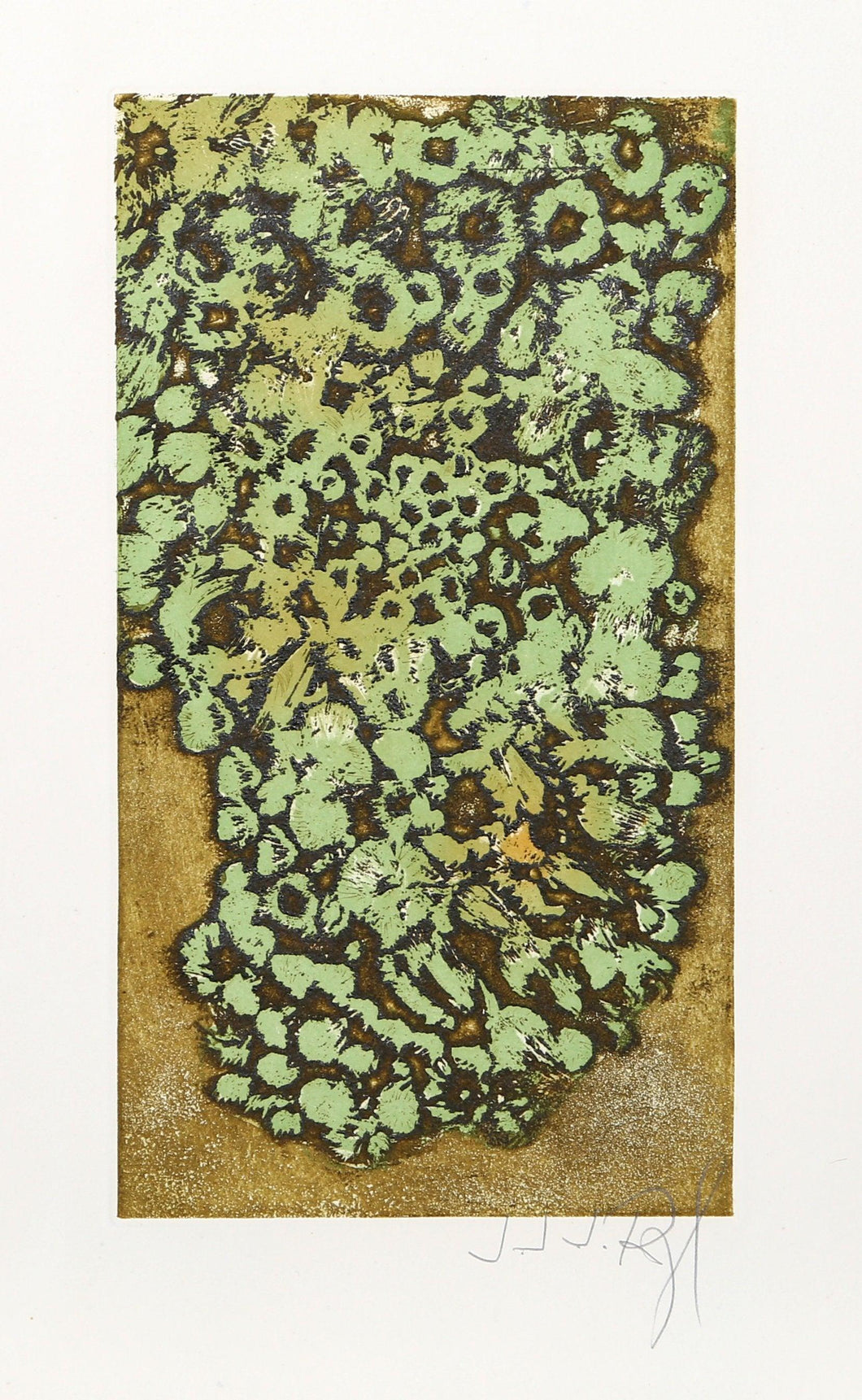 Les Lichens from the Herbier Portfolio Etching | J.J.J. Rigal,{{product.type}}